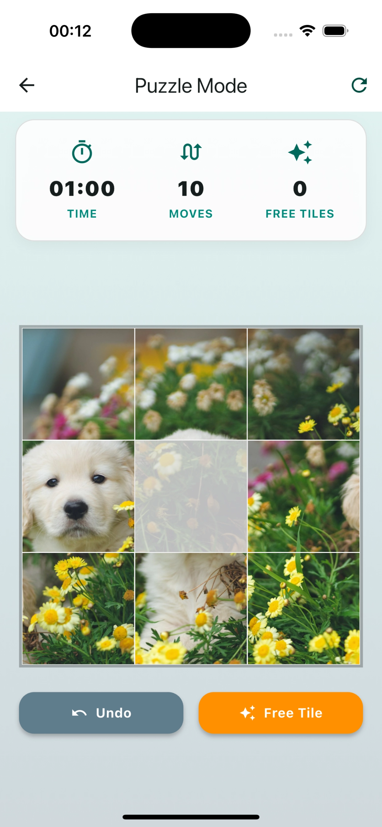 PictureShift gallery level selection window screenshot